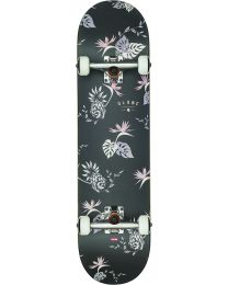 Globe Nectar 8.0" Skateboard